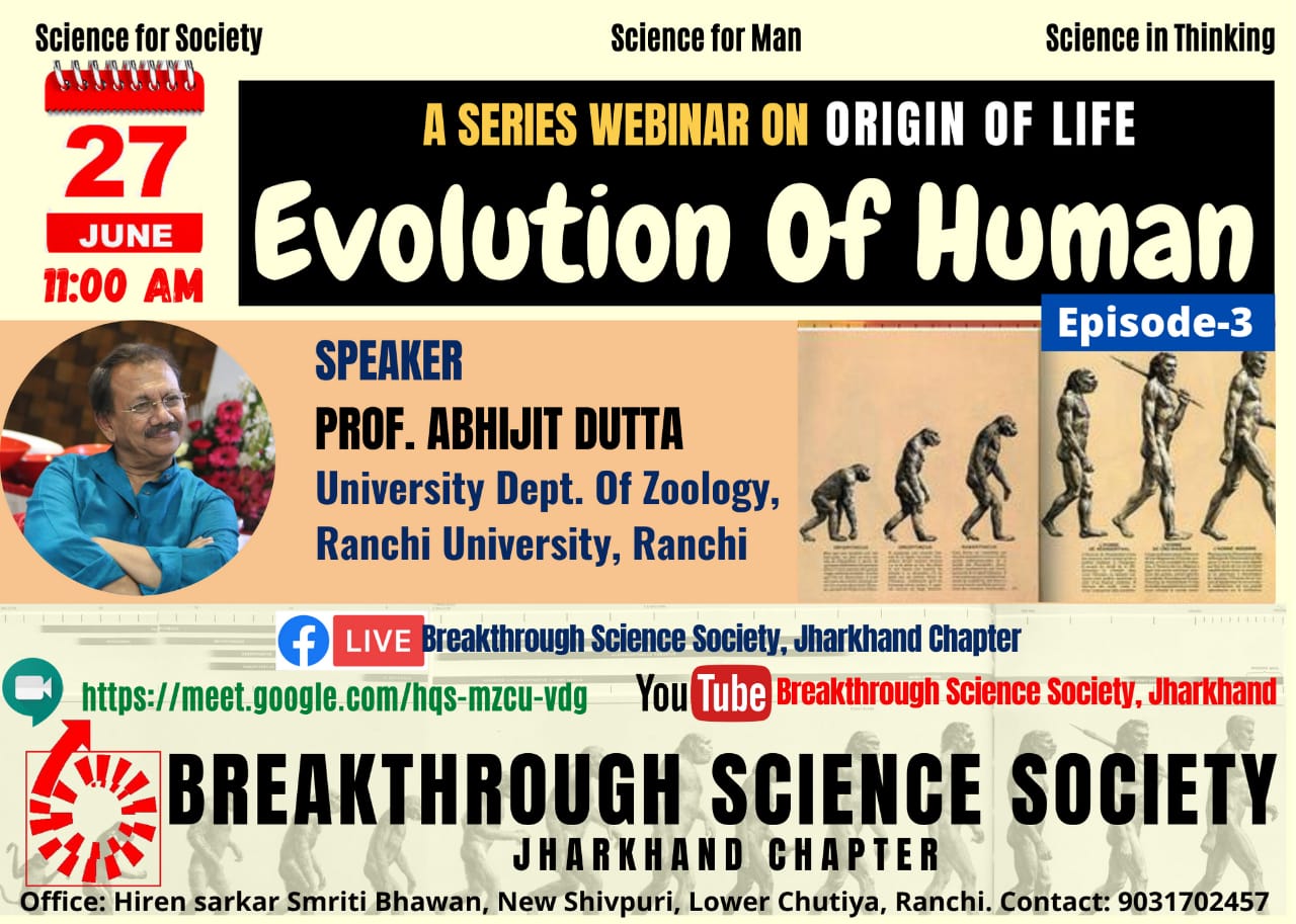 Evolution of Human